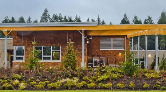 cedar siding