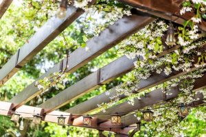 uses of wood in landscaping uses of wood in landscaping