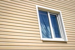 Cedar Siding vs. Vinyl
