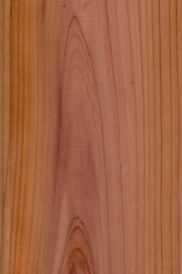 Western red cedar, western red cedar