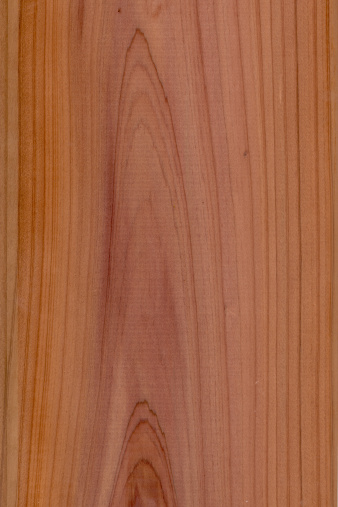 western red cedar