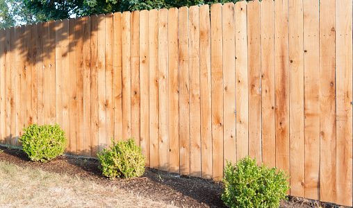 Reasons To Choose Cedar For Your Fencing