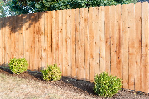 What You Need To Know About Cedar Fencing | Longhouse Cedar