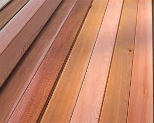 wester red cedar